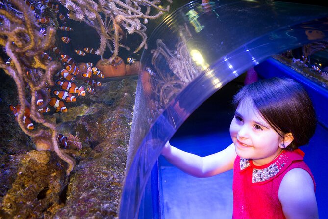 SEA LIFE Birmingham Admission Ticket - SEA LIFE Birmingham in Two Hours: The Big Picture