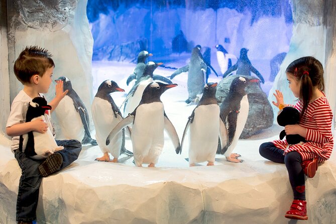SEA LIFE Birmingham Admission Ticket - Gentoo Penguins and the Rest of the 2,000+ Creatures