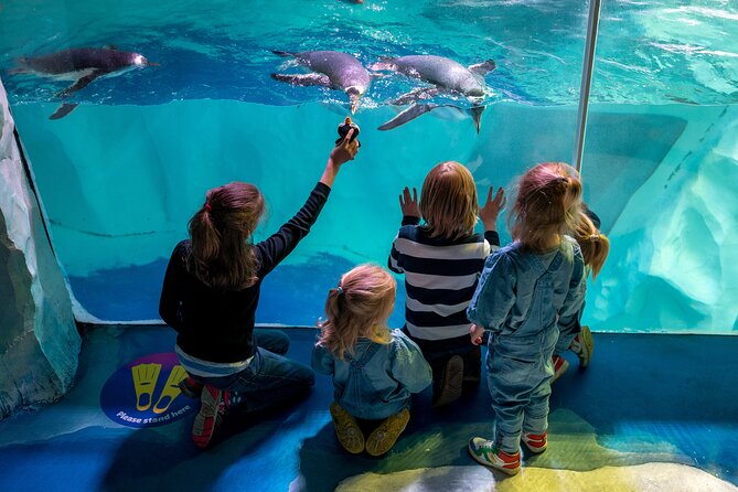 SEA LIFE Birmingham Admission Ticket - What the Centre Looks Like, and How That Affects Expectations