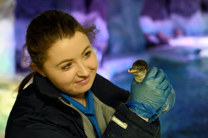 SEA LIFE Birmingham Admission Ticket - Price Value: Is $26.05 Worth Your Time?