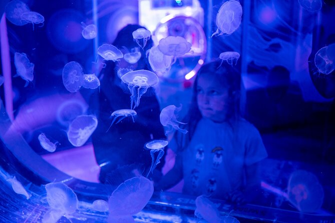 SEA LIFE Birmingham Admission Ticket - Mobile Ticket Entry: Keeping the Day Low-Stress