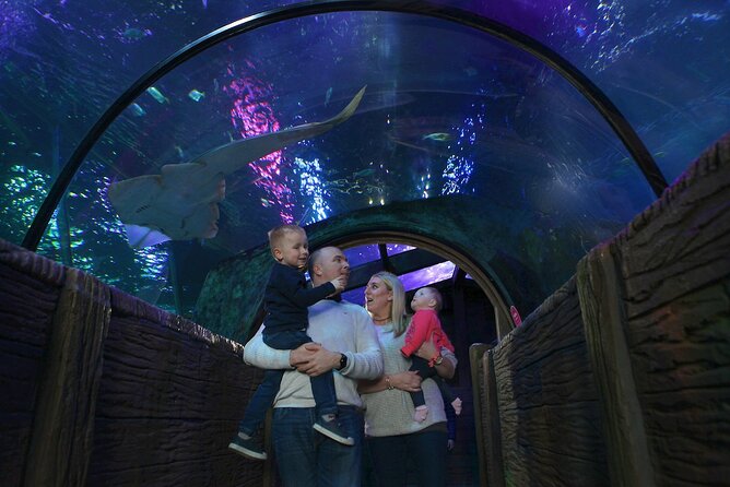 SEA LIFE Blackpool Admission Ticket - Key highlights at SEA LIFE Blackpool