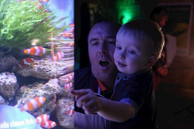 SEA LIFE Blackpool Admission Ticket - SEA LIFE Blackpool, in plain terms: what you’re buying