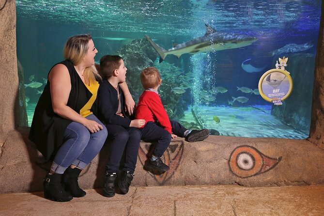 SEA LIFE Blackpool Admission Ticket - Seahorse Kingdom: endangered breeding meets colorful reef fish