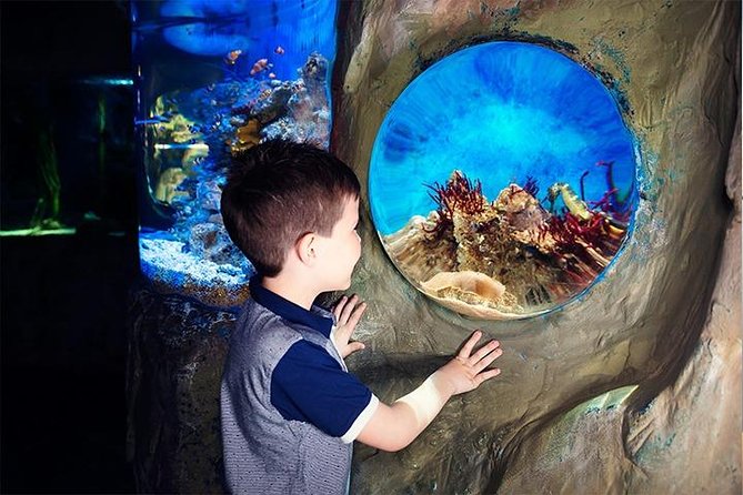 SEA LIFE Blackpool Admission Ticket - Sea Stars for 2017: the close-up show
