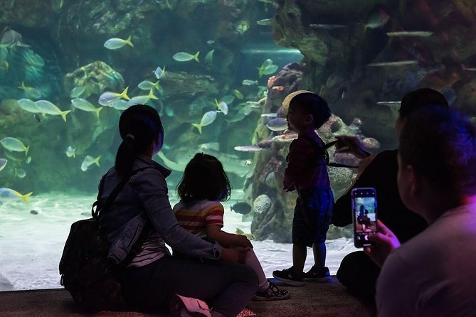 SEA LIFE Brighton Admission Ticket - The Under-Sea Glass Tunnel: Best for Photos, Best for Slow Moments