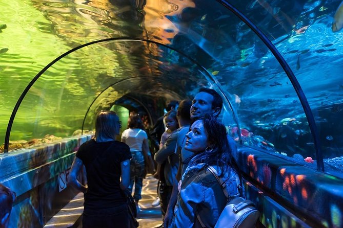 SEA LIFE Brighton Admission Ticket - Seahorses and Feeding Behavior: Small Creatures, Big Details