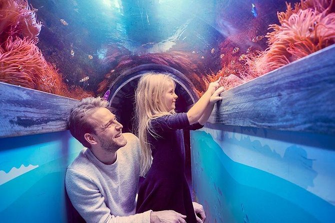 SEA LIFE Brighton Admission Ticket - Secrets of the Reef: The Maldives Connection and Why It Matters