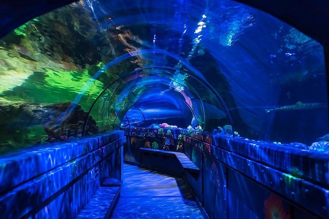 SEA LIFE Brighton Admission Ticket - Timing, Price, and Fit for a Brighton Day