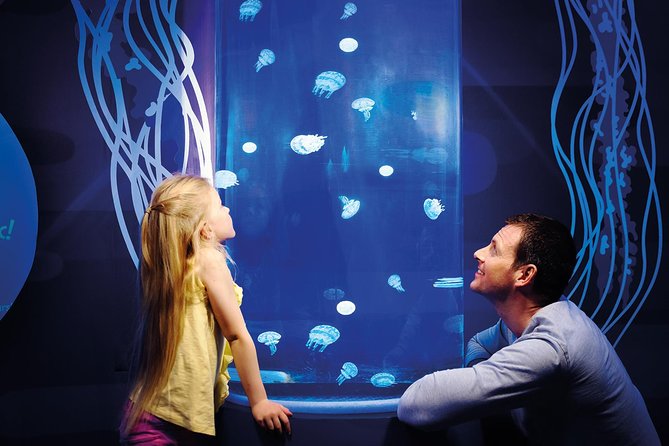 SEA LIFE Great Yarmouth General Admission - Quick Take: what you get with SEA LIFE Great Yarmouth general admission