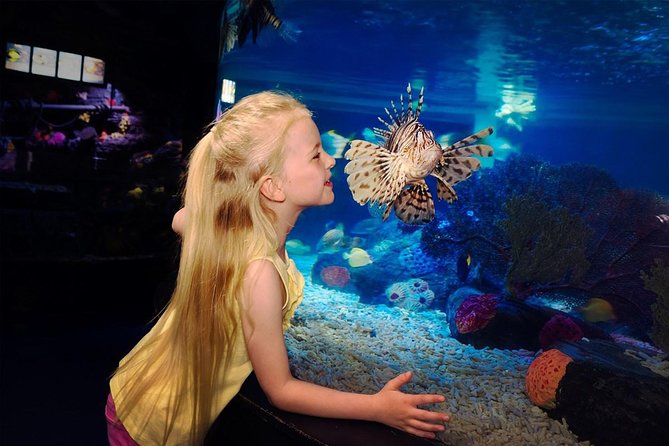 SEA LIFE Great Yarmouth General Admission - Price vs. value: is $21.92 worth it?