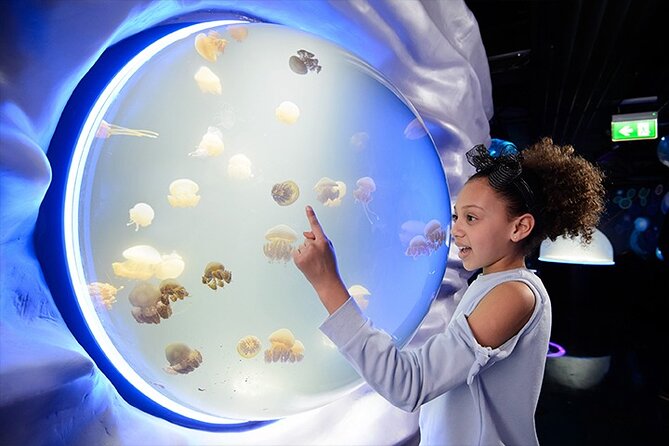 SEA LIFE London Aquarium Admission Ticket - Key Things That Make This Aquarium Ticket Worth Planning