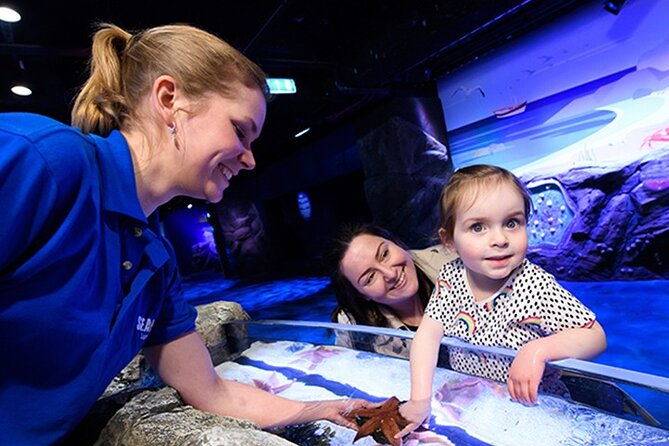 SEA LIFE London Aquarium Admission Ticket - Walking the 3 floors and 14 themed zones without losing your day