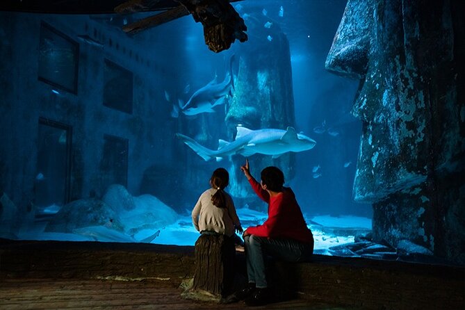 SEA LIFE London Aquarium Admission Ticket - Atlantic Ocean glass tunnel, sea life hits you early and often