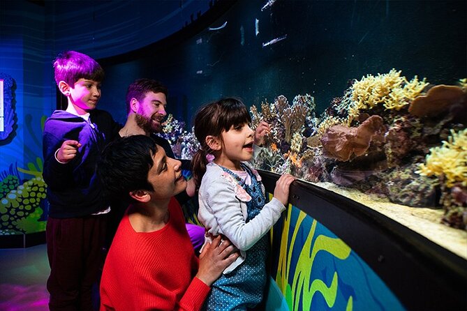 SEA LIFE London Aquarium Admission Ticket - Live feedings and talks, how to plan your 2-hour route