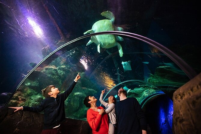 SEA LIFE London Aquarium Admission Ticket - Shark Reef Encounter and Rainforest Adventure, the not-so-boring part