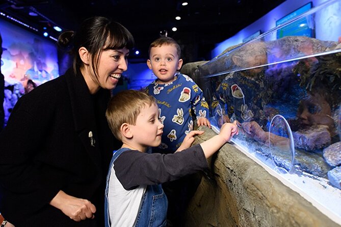 SEA LIFE London Aquarium Admission Ticket - Pacific Zone and the Shark Walk, 10 shark species under your feet
