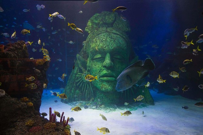 SEA LIFE Manchester Admission Ticket - The glass tunnel: your favorite photo spot, plus a slow moment for sea turtles