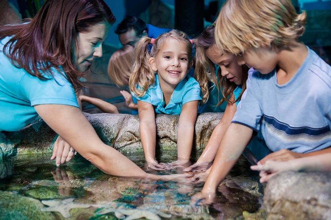 SEA LIFE Manchester Admission Ticket - Tropical ocean tank time and Stingray Bay: the calm after the sharks