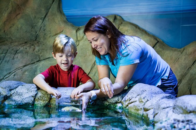 SEA LIFE Manchester Admission Ticket - Rockpools and Conservation Cove: the hands-on ending that makes it memorable