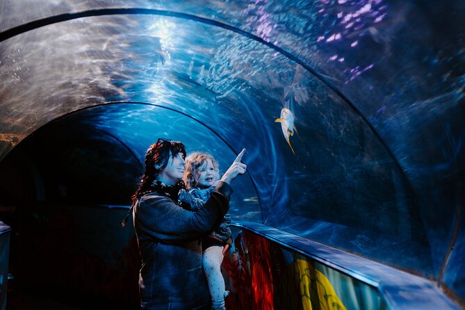 SEA LIFE Weymouth Admission Ticket - Key highlights to know before you go