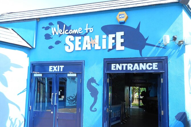 SEA LIFE Weymouth Admission Ticket - What you actually see: 2,000+ sea creatures plus Fairy Penguin Island