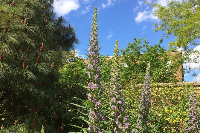 Secret Gardens of London Private Tour - A private botany day that starts near St Martin in the Fields