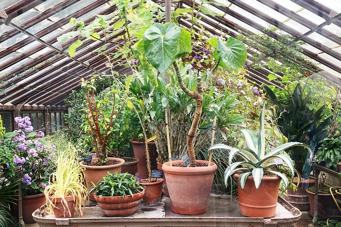 Secret Gardens of London Private Tour - Value check: what you’re really paying for at $536.68 per person