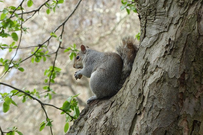Secrets of Westminster - Westminster Abbey: what you get even if you do not go inside