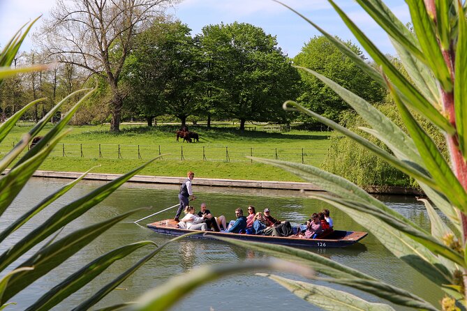 Shared Chauffeured Punt Tour - Clare College Gardens, Clare College on both banks, and Clare Bridge