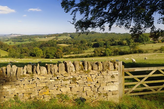 Small-Group Cotswolds Tour (From London) - The driver-guide difference: why the ride matters as much as the stops