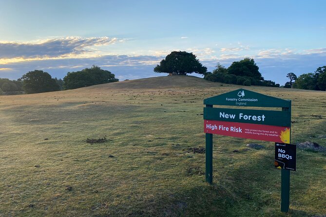 Small-group New Forest Discovery Walk from Lyndhurst - Bolton’s Bench to The Ridge, the walk gets good fast