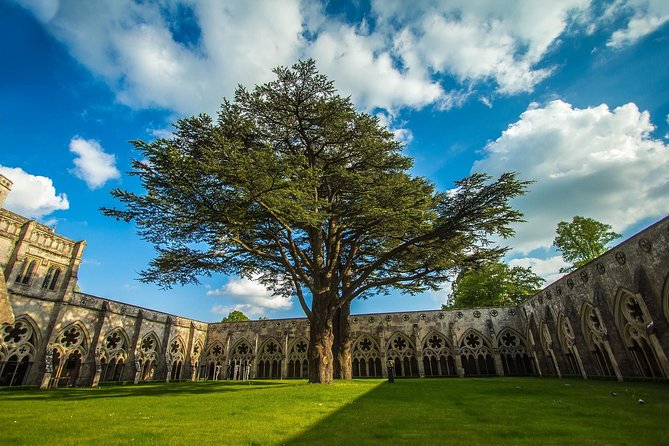 Southampton: Post-Cruise Tour to London via Salisbury, Stonehenge and Windsor - Who Should Book This, and Who Might Prefer a Different Day