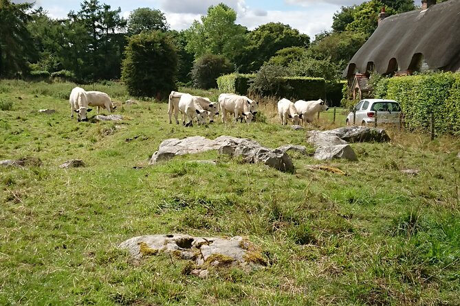 Stonehenge, Avebury, and West Kennet Long Barrow from Salisbury - Stonehenge Starts in the Exhibition, Then the Stones