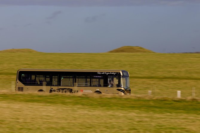 Stonehenge Shuttle Bus from London with Optional Fish & Chips - Optional Fish and Chips: Classic, Convenient, and Not a Full Meal Deal