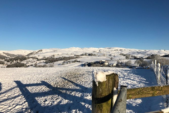Stunning Lake District 4 Hour Tours! - Pickup, timing, and how the day actually flows