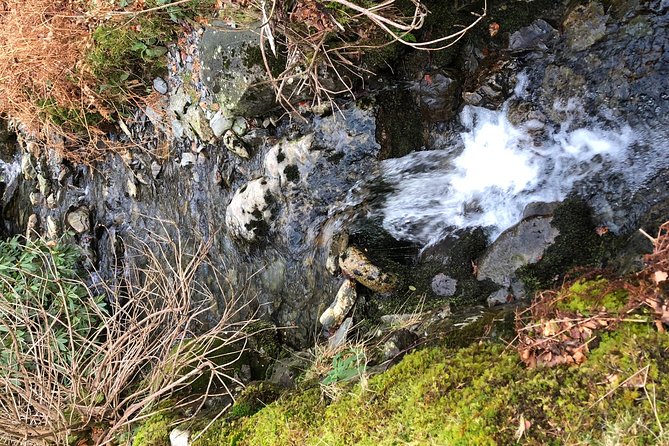 Stunning Lake District 4 Hour Tours! - The guide matters: why Simon’s style is a big part of the value