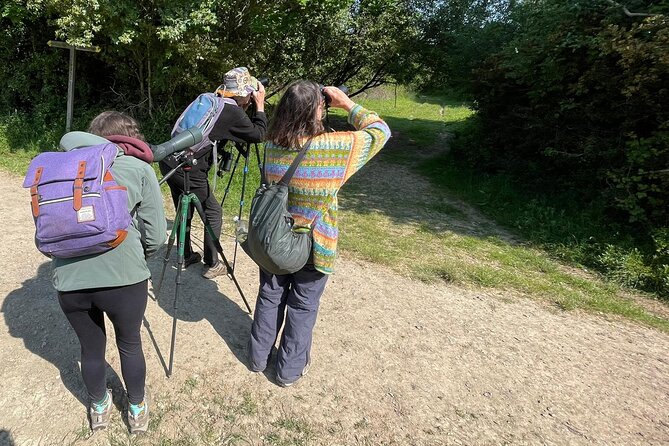 Sussex Birdwatching Private Guided Day Tour - Burpham downland: birds of prey plus scarce farmland species