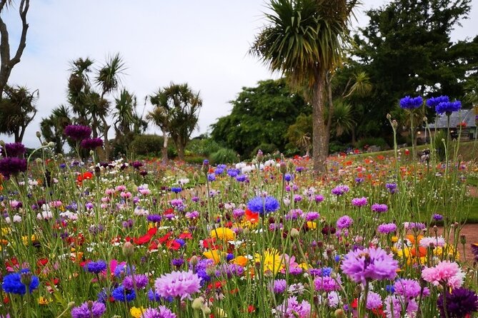 The story of Agatha Christie's extraordinary life - Who should book this Agatha Christie Torquay walk?