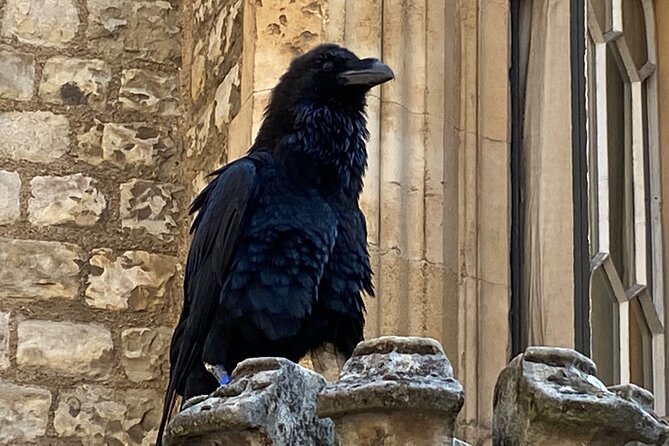 The Tower of London - Small Group Tour with a Local Expert - Price and value: what $212.12 is buying you