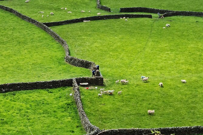 The Yorkshire Dales of All Creatures Great & Small - Why this All Creatures and Yorkshire Dales day trip works from York