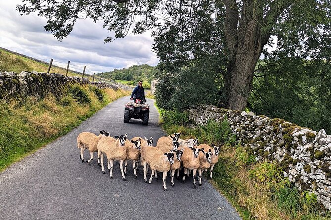 The Yorkshire Dales of All Creatures Great & Small - Grassington lunch plus Darrowby vibes: where the day turns into comfort food