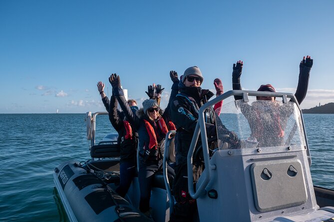 Torquay Coastal RIB Seafari - Thatcher Rock stop: why a tiny island matters for seal spotting