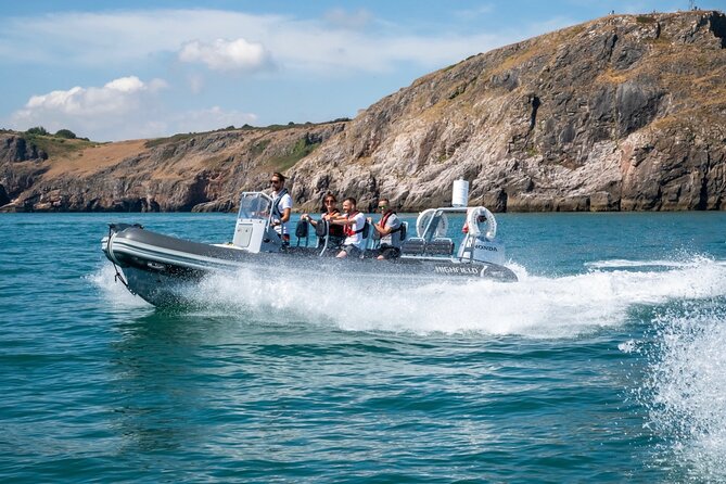 Torquay Coastal RIB Seafari - Ore Stone stop: a bird reserve view from the water