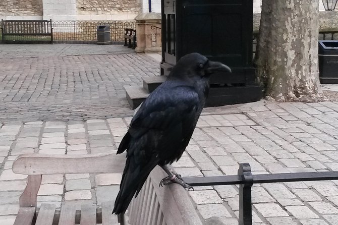 Tower of London Private Tour - Meeting at Tower Place East, then straight into Tower momentum