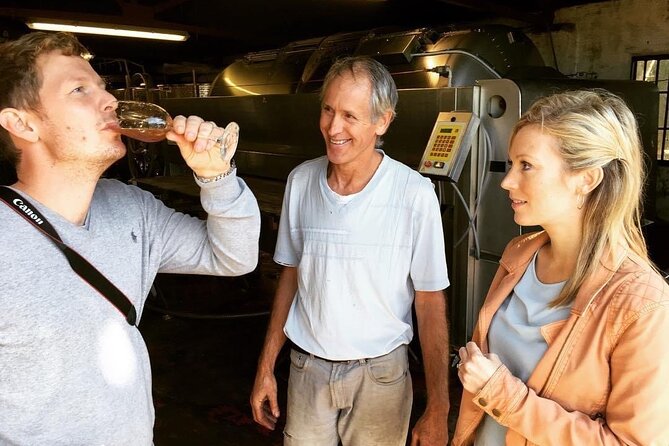 Vineyard & Cheesemaker Bus Tour of Sussex - Who should book this Sussex wine and cheesemaker tour