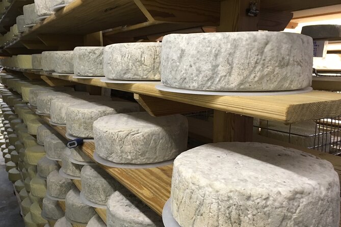 Vineyard & Cheesemaker Bus Tour of Sussex - The heart of the day: Court Gardens Farm and English sparkling from grape to glass