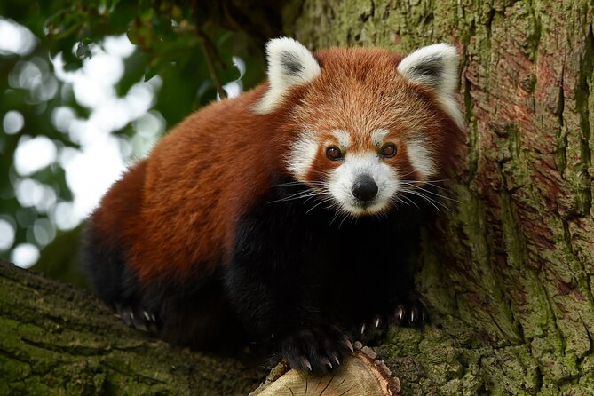 Whipsnade Zoo Entry Ticket - Aquarium and Butterfly House: indoor stops that reset the day