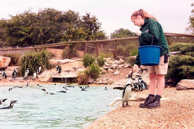Whipsnade Zoo Entry Ticket - Choosing when to go: timing for animals, indoor shows, and closures