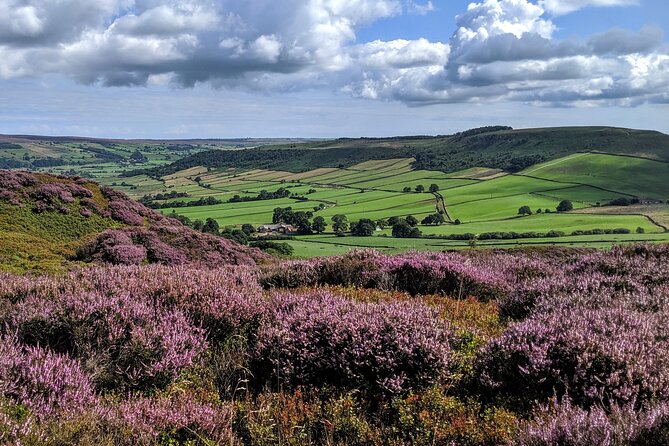 Whitby, Robin Hood's Bay and the Moors from York - Meeting point and timing: what your day actually looks like